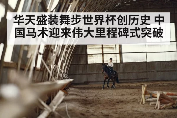 dressage horse rider